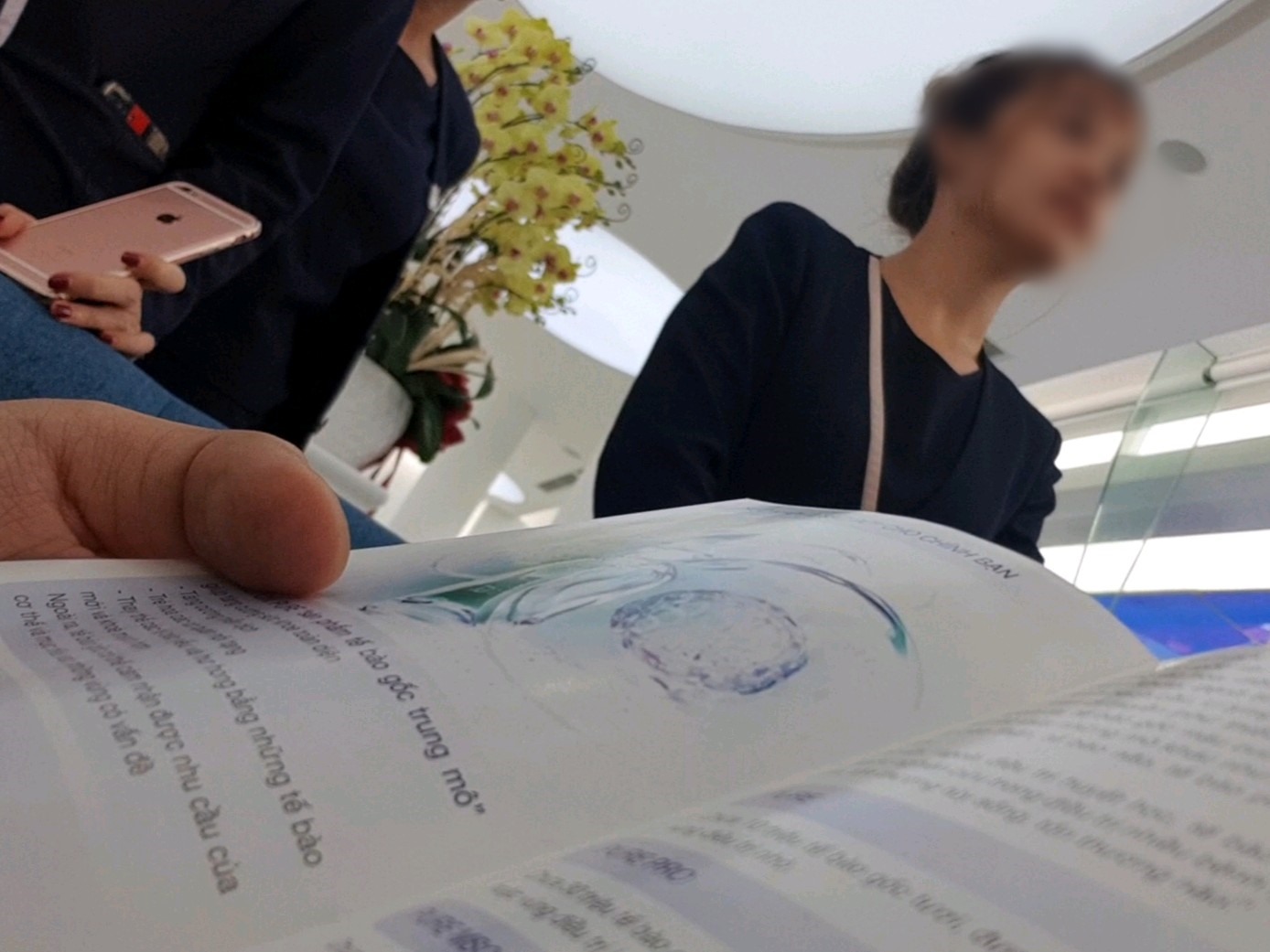 Quảng cáo làm đẹp bằng tế bào gốc tại bệnh viện thẩm mỹ trên đường Ngô Thời Nhiệm.