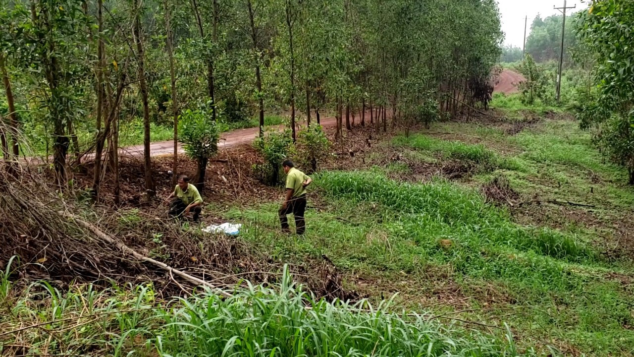 Hiện trường vụ việc được người dân gọi là “khu đồi ma” khá vắng vẻ. Ảnh: Hà Anh Chiến