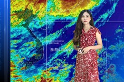 Bản tin Dự báo thời tiết mới nhất đêm nay và ngày mai 11.7