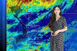 Bản tin Dự báo thời tiết mới nhất đêm nay và ngày mai 13.7