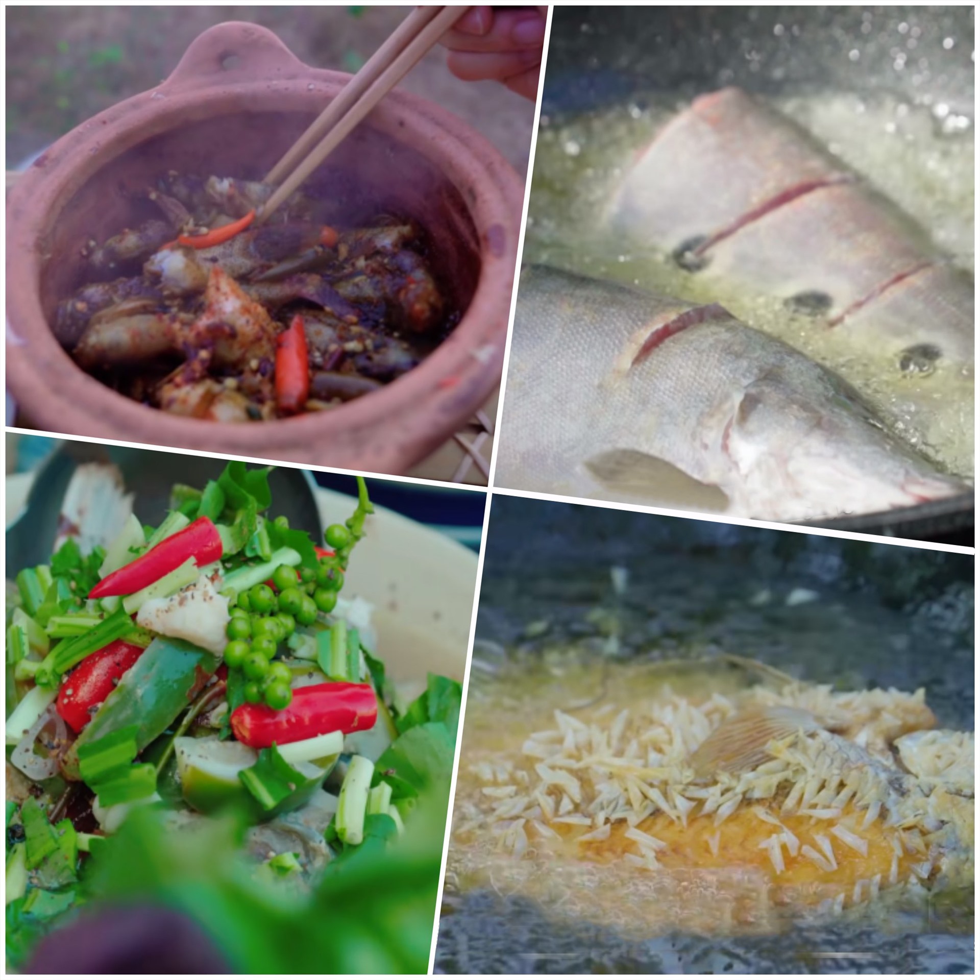 Cá bống kho tiêu, tai tượng chiên xù, cá thác lác chiên mắm, lẩu cá nấu mẻ đều khiến các khách mời mê mẩn