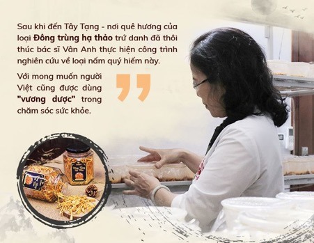 Bác sĩ Vân Anh mong muốn có thể tạo ra loại đông trùng hạ thảo chất lượng cao dành cho người Việt, trên đất Việt.