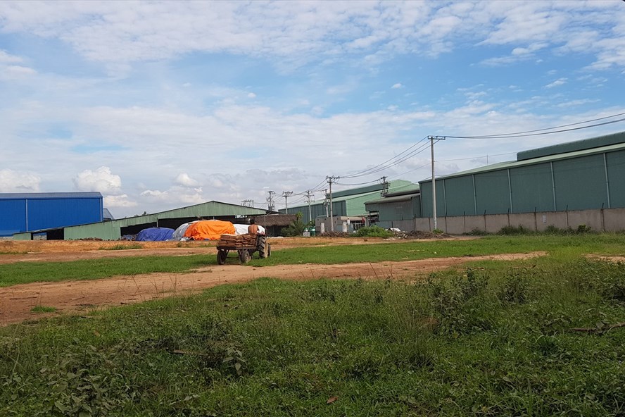 Cụm công nghiệp Phước Tân (Đồng Nai): Phát hiện nhiều vi phạm mới cum cong nghiep phuoc tan dong nai phat hien nhieu vi pham moi