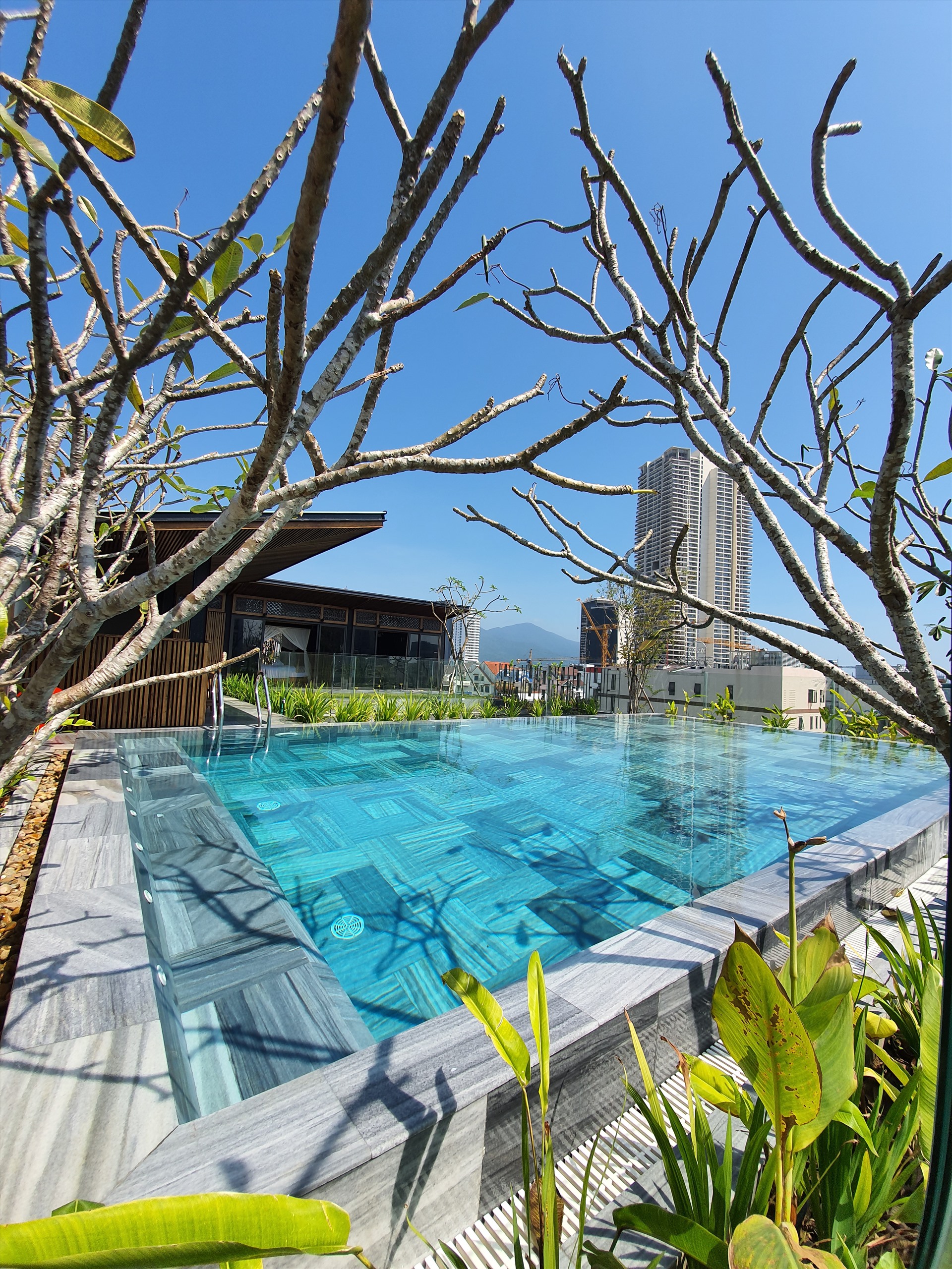 Đặc biệt, hồ bơi được đưa lên sân thượng để tận dụng view thoáng và được phủ mát bởi cây xanh.