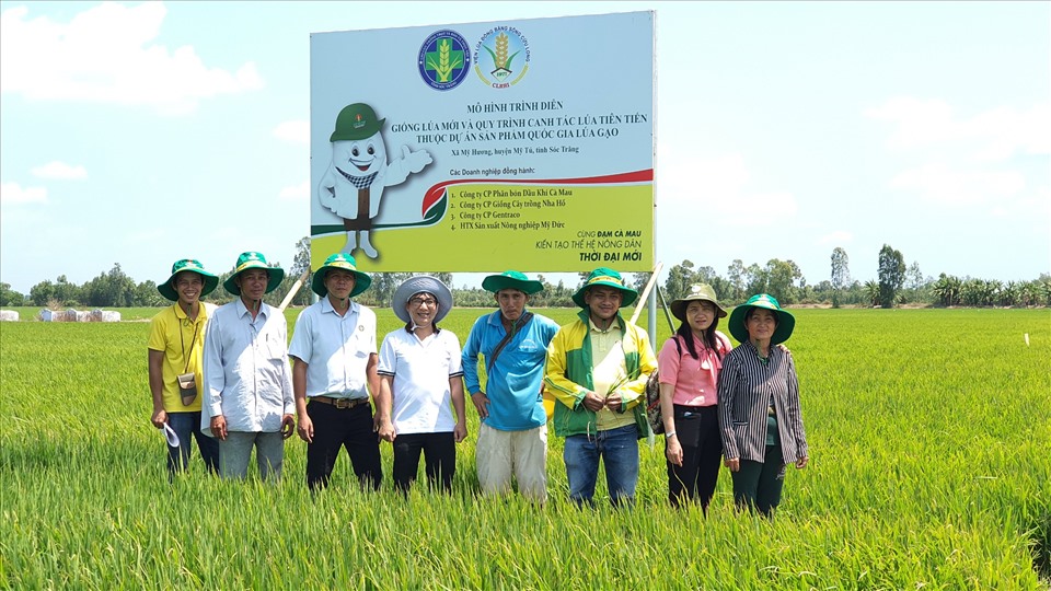 Các hoạt động hỗ trợ bà con nông dân