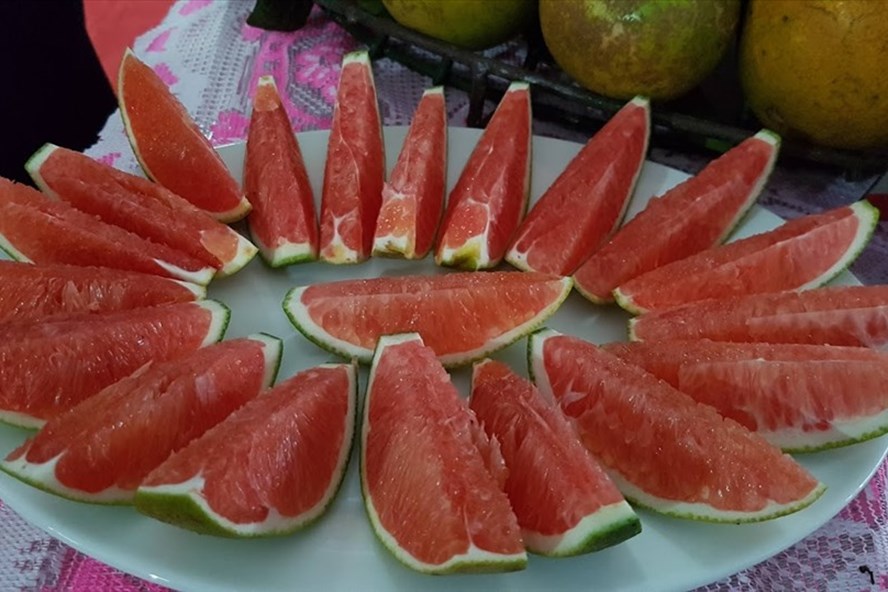 Cam là một trong 13 mặt hàng Algeria tạm thời cấm nhập khẩu có thời hạn để bảo hộ sản xuất trong nước. Ảnh: Khánh Vũ