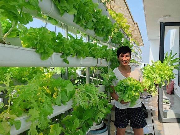 Vườn rau nhà Lý Hải. Ảnh: NSCC