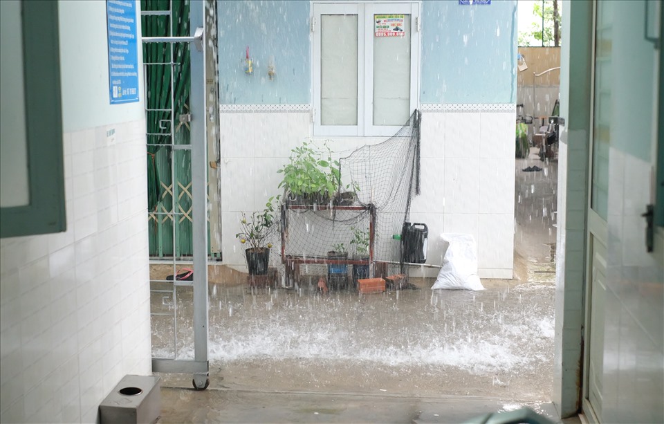 Cơn mưa “vàng” làm dịu mát tiết trời oai bức của những ngày hè. Ảnh: Nhiệt Băng