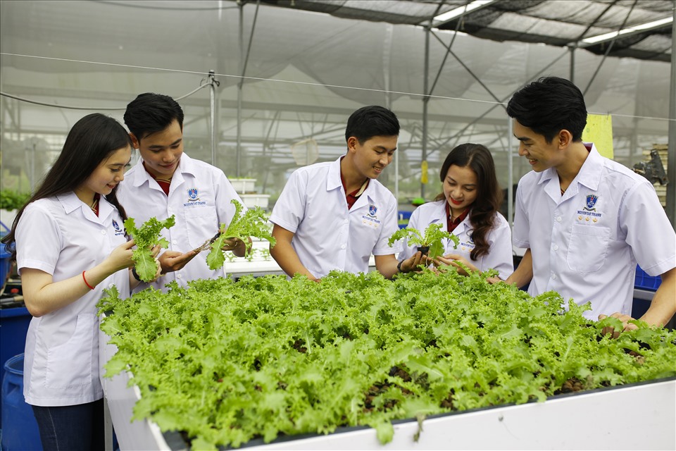 Sinh viên Đại học Nguyễn Tất Thành trong giờ thực hành.