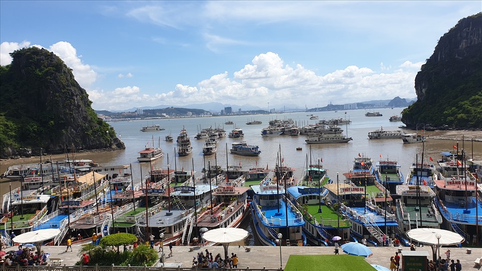 Tàu nối đuôi nhau vào bến. Ảnh: Nguyễn Hùng