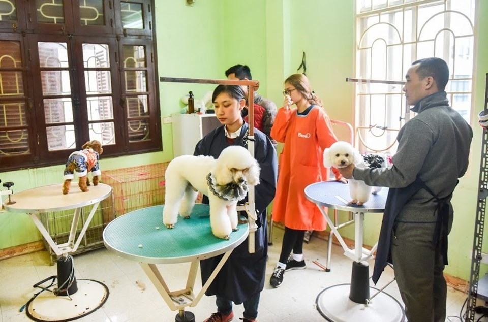 Thời gian gần đây, dịch vụ chăm sóc, làm đẹp cho thú cưng được nhiều người ưa chuộng. Ảnh minh hoạ: Vương Trần Thời gian gần đây, dịch vụ chăm sóc, làm đẹp cho thú cưng được nhiều người ưa chuộng. Ảnh minh hoạ: Vương Trần