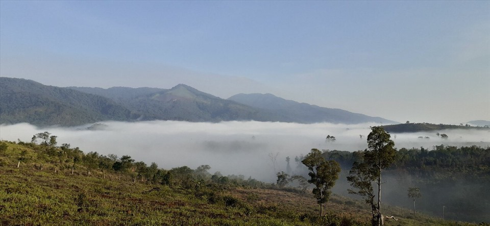 Nhiều du khách đến Măng Đen để “săn” mây. Ảnh Minh Châu