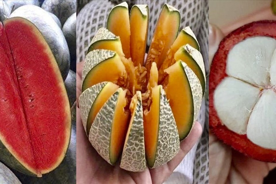 Những lợi ích không ngờ khi ăn trái cây vào buổi sáng Những lợi ích không ngờ khi ăn trái cây vào buổi sáng