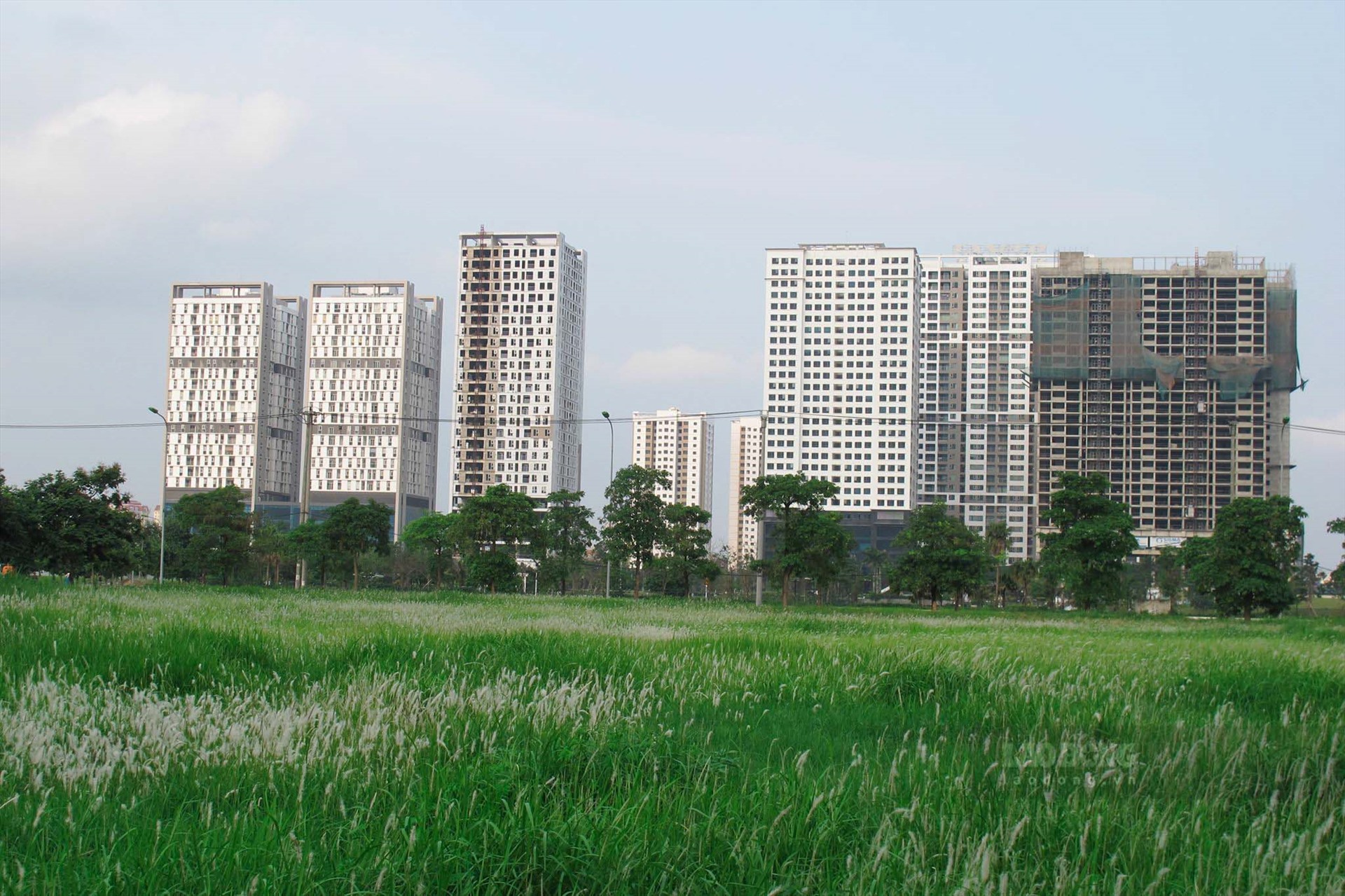 Nhiều người dân KĐT Ngoại giao đoàn thường xuyên đi tập thể dục quanh khu đất bỏ trống do chủ đầu tư chưa thi công vì thảm cỏ tại đây rất đẹp.