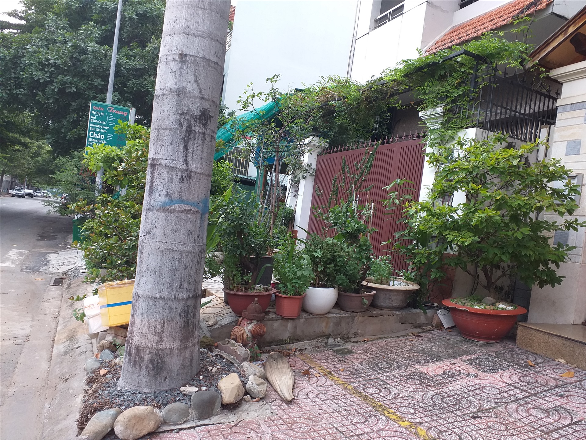 MỘT HỘ DÂN TRÊN ĐƯỜNG BÙI TÁ HÁN, RÀO LUÔN VỈA HÈ PHÍA TRƯỚC NHÀ MÌNH BẰNG NHỮNG HÀNG CHẬU CÂY CẢNH ĐẶT KÍN Ở HAI BÊN RANH GIỚI VỚI HÀNG XÓM.