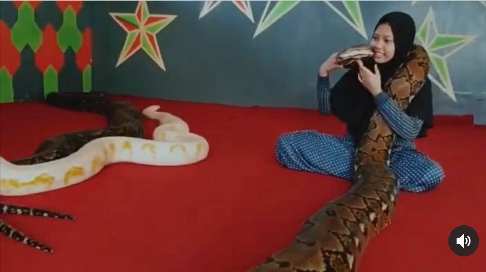 Chơi đùa cùng thú cưng và coi đó là những người bạn thân thiết. Ảnh: Instagram