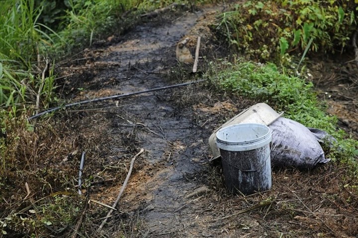 Ba đối tượng đổ dầu làm ô nhiễm nguồn nước sạch sông Đà lĩnh án