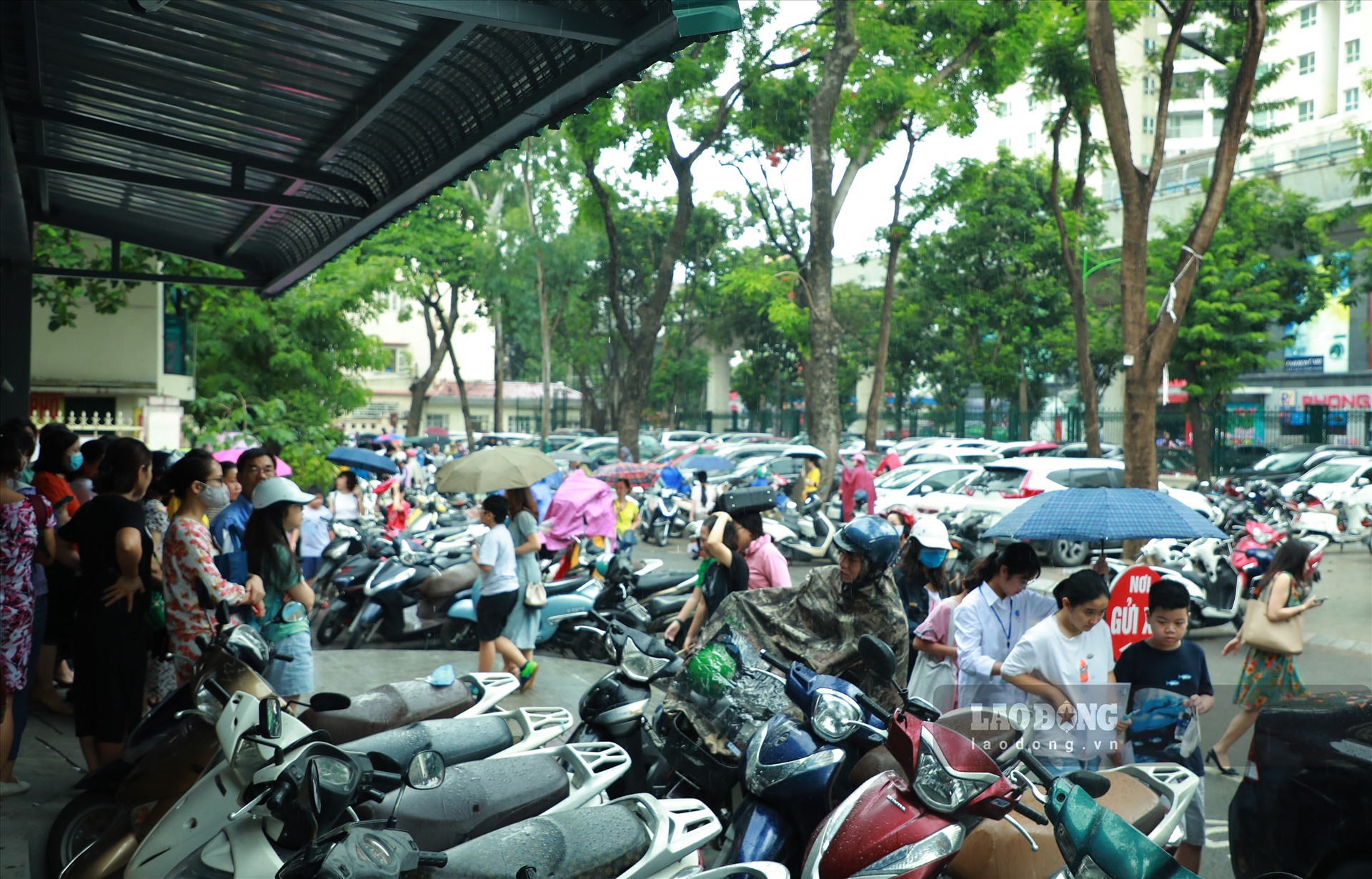 Ngay từ sáng sớm