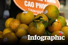 Điểm 39 mặt hàng của Việt Nam được EU bảo hộ khi thực thi EVFTA