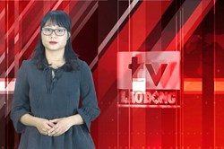 Bản tin 1 phút: Giá vàng lao dốc mạnh, liệu rằng có đảo chiều?