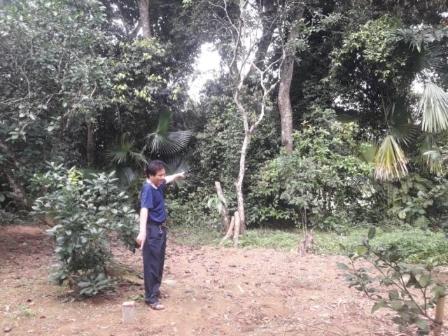 Dự án cắm mốc thu hồi đất để thực hiện kè bờ sông vào sâu trong vườn của dân. Ảnh: Trần Tuấn.