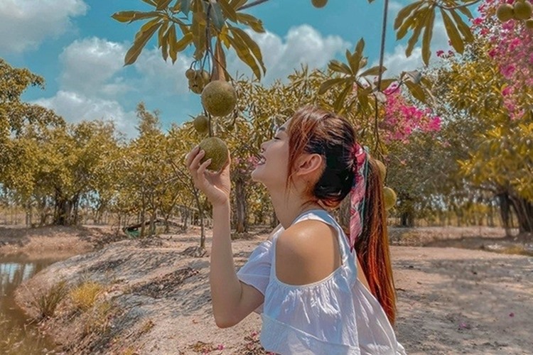 Khu vườn của Minh Hằng. Ảnh: Cắt từ clip.