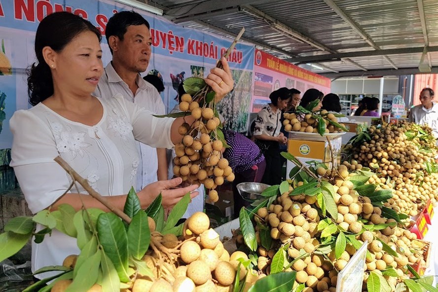 xuat khau hang hoa qua trung quoc bo dan tieu ngach chuyen thanh chinh ngach het thoi cong hang qua bien gioi