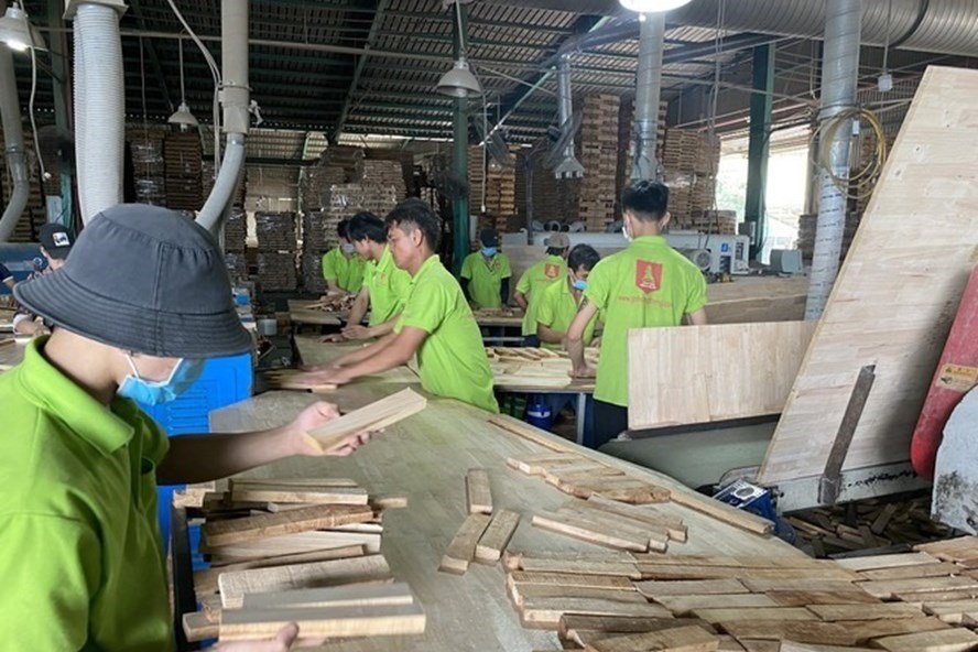 Công nhân sản xuất gỗ ván cao su ghép. Ảnh TL (Ảnh minh họa).