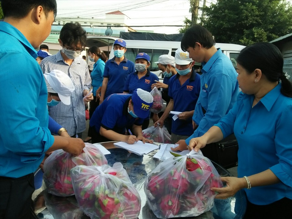 Công nhân lao động nhiệt tình mua thanh long giúp nông dân lần trước. Ảnh: K.Q