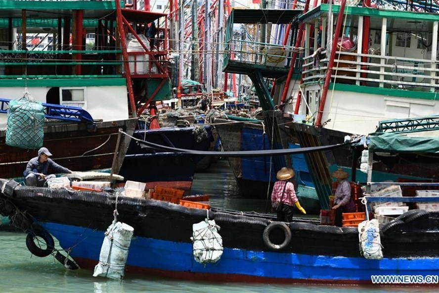 Tàu thuyền về trú bão ở Hải Nam ngày 18.8. Ảnh: Tân Hoa Xã