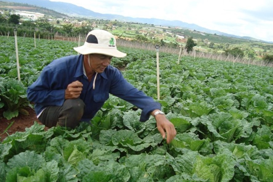 Nông dân “tỷ phú” Nguyễn Văn Phúc