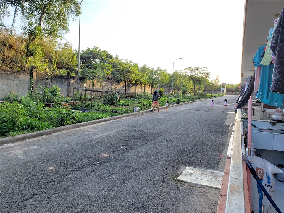 Ngoài ra, ký túc xá còn có khu dành riêng để công nhân trồng rau xanh với diện tích khoảng 6.000m2 - để cải thiện bữa cơm gia đình. Ảnh: Hà Anh Chiến