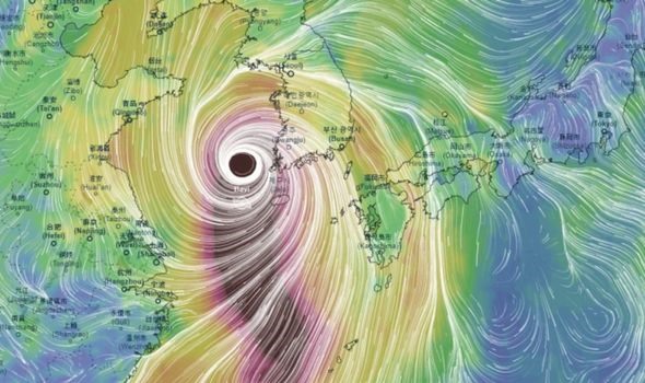 Bão Bavi dự kiến đổ bộ Triều Tiên trong ngày 26 hoặc 27.8. Ảnh: Windy