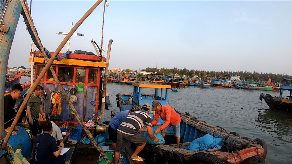 Sò do thợ lặn cào lên được thương lái thu mua tại bến. Ảnh: Như Sương
