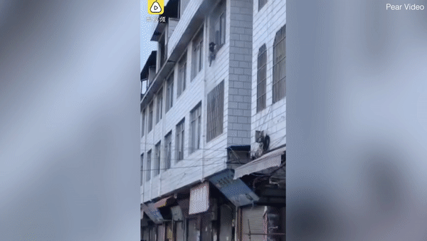 Khoảnh khắc người dân đỡ bé trai rơi từ tầng 3. Ảnh: Pear Video.