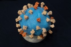 Tổng thống Trump hé lộ Mỹ sẽ sớm có vaccine COVID-19