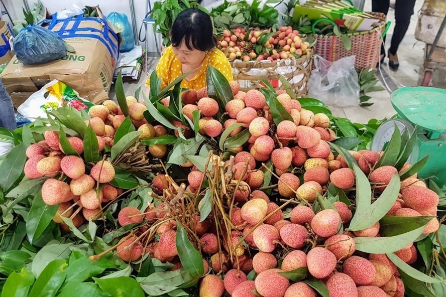 Quả vải của Việt Nam được thị trường Trung Quốc ưa chuộng. Ảnh: Vũ Long