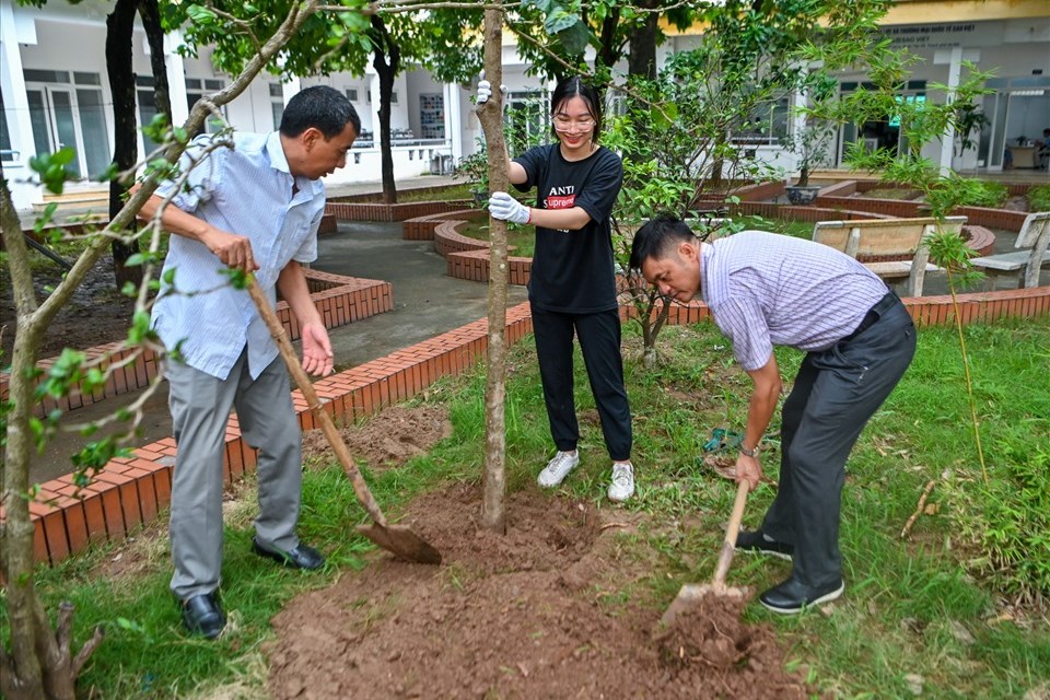 Khởi động dự án trồng cây tạo màn chắn xanh cho Việt Nam Khởi động dự án trồng cây tạo màn chắn xanh cho Việt Nam
