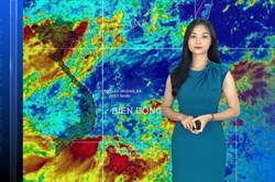 Bản tin Dự báo thời tiết mới nhất đêm nay và ngày mai 7.8