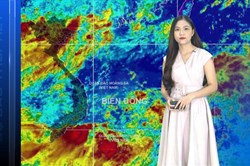 Bản tin Dự báo thời tiết mới nhất đêm nay và ngày mai 10.8