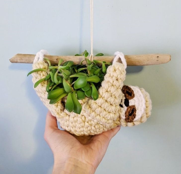 Một chú Lười