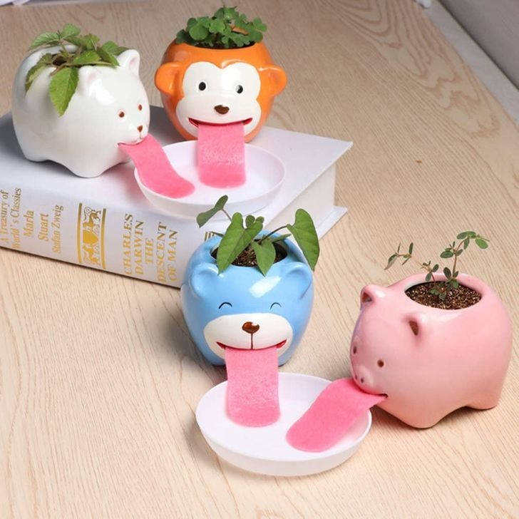 Một chú khỉ, một chú lợn con với “chiếc lưỡi hồng “tự lấy nước” tưới cây như thế này sẽ làm bạn thích mê.