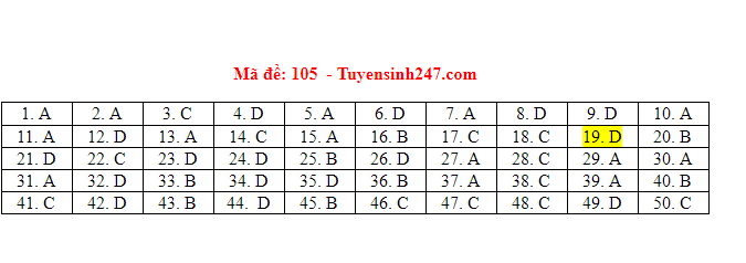 Đáp án mã đề 105 môn Toán.