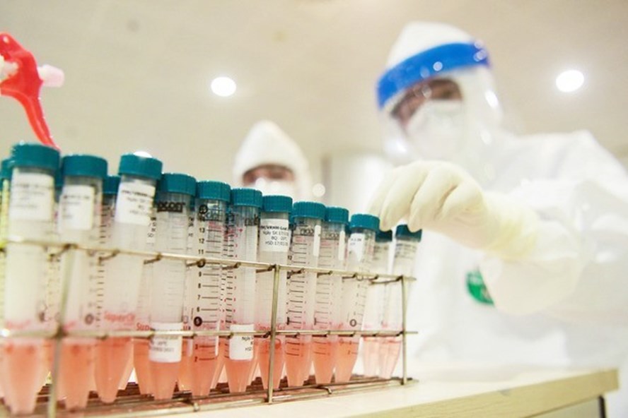 Các mẫu bệnh phẩm của bệnh nhân nghi nhiễm được lấy test nhanh COVID-19. Ảnh: Hương Giang