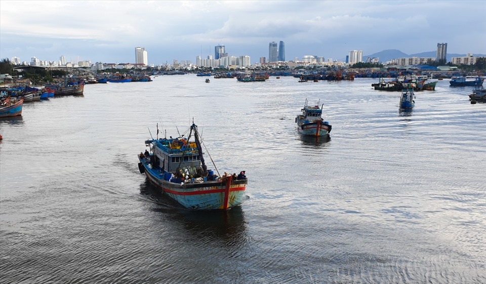 Ngày từ sáng sớm, nhiều đoàn thuyến đánh cá rời âu thuyền Thọ Quang vươn khơi đánh bắt. Ảnh: Hữu Long