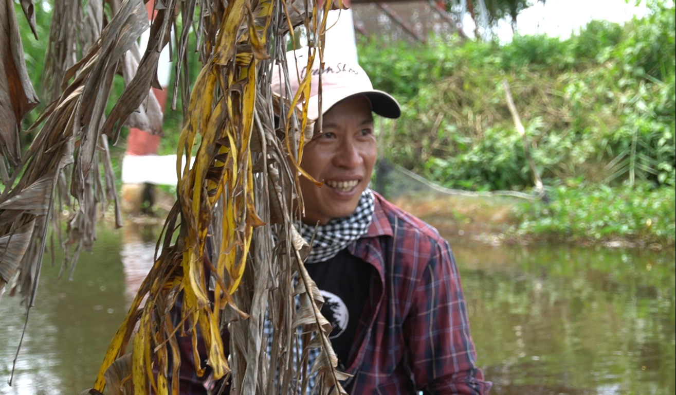 Những bẹ chuối khô tự nhiên trên cây là nguồn nguyên liệu để anh Lê Hoàng Nhân sáng tác dòng tranh độc đáo này. Ảnh: N.A