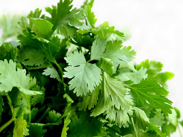 aa