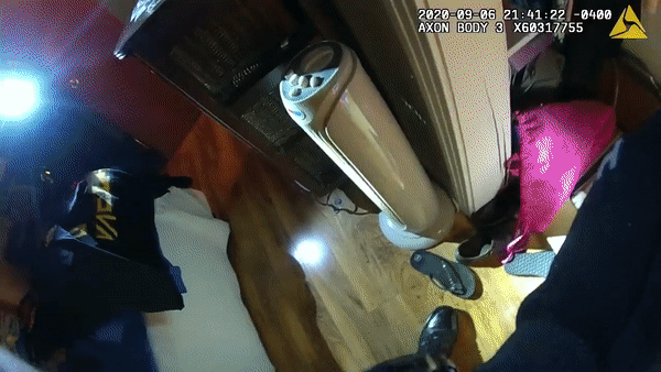 Video đuổi bắt ''kẻ trộm'' gấu mèo do sở cảnh sát Tampa, Florida đăng tải. Ảnh: Facebook Sở cảnh sát Tampa