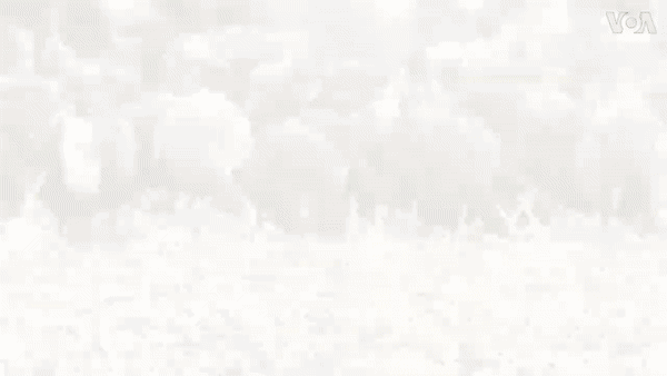 Ảnh: VOA