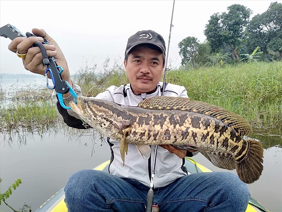 Người đàn ông này đã đi hầu khắp Việt Nam để câu cá. Có những chuyến đi Tây Bắc kéo dài 15 ngày chỉ để câu được cá suối pami, patết. Anh cùng cá chuối hoa, một giống cá đặc hữu ở miền Bắc câu được ở hồ Văn Sơn (Chương Mỹ, Hà Nội).